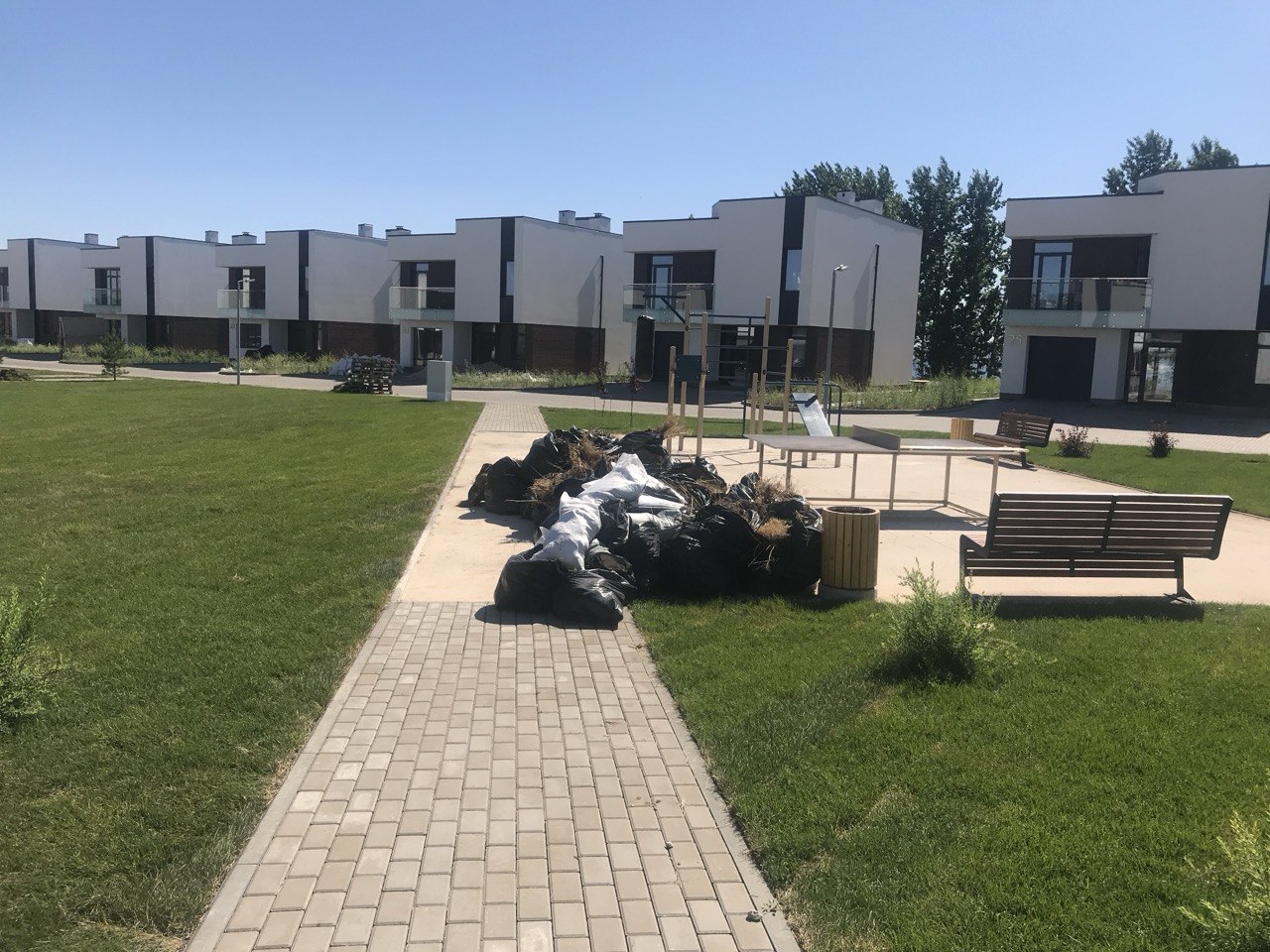 Тротуарная плитка и газон